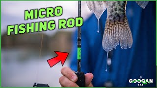 The Perfect MICRO Light Fishing ROD for MULTI SPECIES  Fishing Tips [upl. by Kantor352]