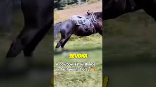 ZAVALLI AT SAHİBİNİ ÇOK İYİ TANIYORDU 🐴🥺 [upl. by Eilahtan241]