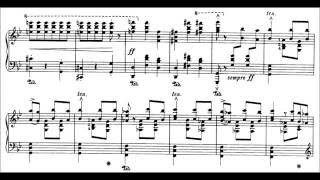 SaintSaëns  Liszt Danse Macabre Op40S555 Cohen [upl. by Buttaro]