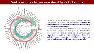 iMeta Duck gut microbiome linked to intestinal regional temporal development and rearing condition [upl. by Bar]