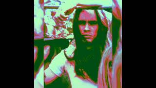 Rickey Medlocke The Seasons Background Vocals Lynyrd Skynyrd [upl. by Eustashe]