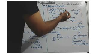 Reactions of aldehydes and Ketones with hydrogen cyanide and sodium bisulphite [upl. by Bee808]