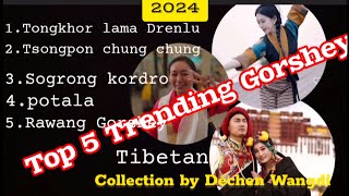 Top 5 Tibetan gorshey collection Tibetan circle dance Gorshey Hits 2024 tibetangorshey gorshey [upl. by Larrisa332]