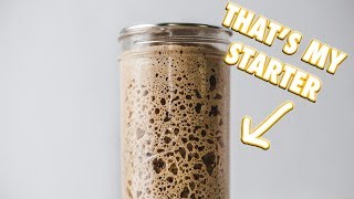 The Ultimate Sourdough Starter Guide [upl. by Lucius]