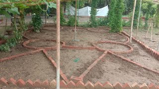 Herbal Garden 🌿☘️🌿☘️ viral viralvideo youtubevideo herbal medicinalplant garden plants ❤️❤️ [upl. by Inttirb409]