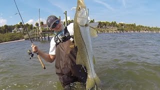 I Cant Believe He Landed This Fish Wade fishing with Landshark Fishing [upl. by Sheryl389]