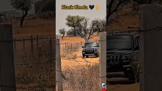 Mahindra Scorpio Classic S11 💞viralvideo shortvideo mahindra scorpio [upl. by Siro536]