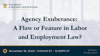 Agency Exuberance A Flaw or Feature in Labor and Employment Law 2024 NLC [upl. by Ecnerol26]