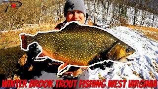 Winter Brook Trout Fishing West Virginia [upl. by Eitsirc465]