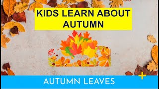 AUTUMN  KIDS LEARN ABOUT AUTUMN  NURSERY RHYMES  MORE [upl. by Blondelle]