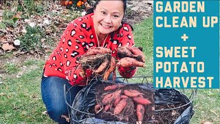 How I Grew Sweet Potatoes in a Pot amp Cleaned My Garden Bed [upl. by Namhcan443]