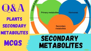 Secondary Metabolites MCQs  Secondary Metabolites of Plants Questions  secondary metabolite quiz [upl. by Aroda]