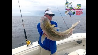 2018  Episode 4  Monster golden tilefish off Virginia Beach Virginia [upl. by Nosnev556]