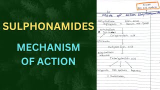 Mechanism Of Action Of Sulphonamides  Mode of action Sulphonamides MOA [upl. by Russian573]