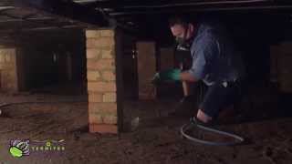 CONQUER TERMITES TERMITE TREATMENT VIDEO [upl. by Tally975]