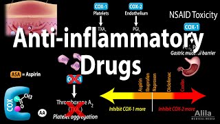 Antiinflammatory NSAIDs Drugs Pharmacology Animation [upl. by Emilee]