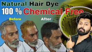 Natural Hair Dye Really Works  Henna Indigo  English Subtitles  Shadhik Azeez [upl. by Aneehsit]