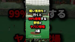 軽い気持ちで行くと99後悔する野球のヤバい球場3選 野球 [upl. by Kcerred718]