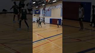 My highlight against Wolverines U17 AAA ballislife basketball capcut RWI613 [upl. by Shaer]