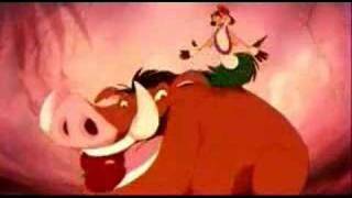 Lion King  Timon and Pumbaa Hula Dance [upl. by Atineb]