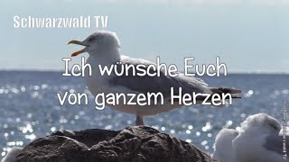 🎩🍀 Frohes neues Jahr 🥂🍾 Guten Rutsch 🏝️ Neujahrswünsche 🍾 Happy New Year Silvester Grußvideo [upl. by Susy281]