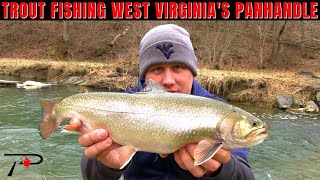 Trout Fishing West Virginias Panhandle [upl. by Allare886]