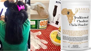 Chebe Powder Hair Growth Recipe with Aloe Vera Infused Shea Butter [upl. by Aprilette]