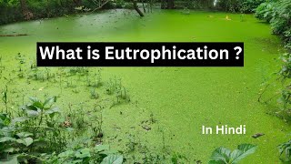 Eutrophication in hindi [upl. by Yrtsed]