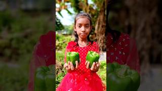 egg 🥚 inside capsicum stuffing Recipe 😋 Stuffed Bell Pepper  Stuffed Capsicum  Capsicum Omelette [upl. by Shing]