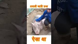 ये हैं असली जाति प्रथा  caste system in world  caste system in india hindi shorts viral esatha [upl. by Philan]