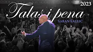 Šaban Šaulić  Talas i pena Official Audio [upl. by Davie]