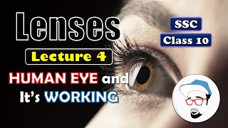 LENSES Lecture 4 Class 10 SSC  HUMAN EYE  Maharashtra state board Science 1 [upl. by Ediva]