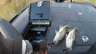 Bass Fishing Tournament on January 08 2022 on the Apalachicola River [upl. by Siddon547]