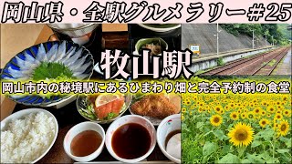 【牧山駅】岡山市内の秘境駅で満開のひまわり畑を見て、完全予約制の隠れ家食堂で穴子のしゃぶしゃぶを堪能しにいくだけツーリング【岡山県・全駅グルメラリー25】 [upl. by Trstram414]