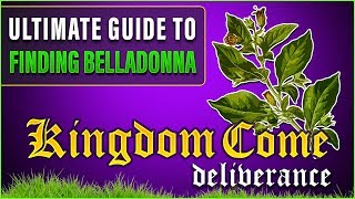 Ultimate Guide to finding Belladonna [upl. by Eikceb]