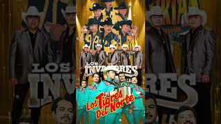 Conjunto Primavera Polo Urias Los Rieleros Del Norte Los Huracanes ⚡Puras Norteñas Viejitas [upl. by Anu675]