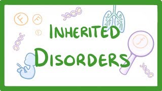 GCSE Biology  Why We Inherit Diseases From Our Family  Polydactyly amp Cystic Fibrosis 75 [upl. by Zeuqirdor519]