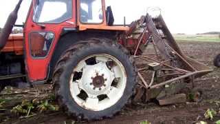 Beet harvesting denmark [upl. by Grimes502]