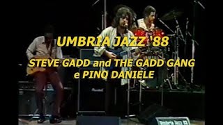 Pino Daniele • Umbria Jazz 1988  Stereo HD 169 [upl. by Greerson]