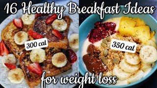 16 days of Healthy Low Calorie weight loss friendly breakfast Ideas for 2024  fast amp easy recipes [upl. by Danni]