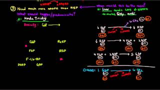 Pentose Phosphate Pathway Part 3 of 5  Control and Regulation Details [upl. by Sage]