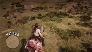 Red Dead Redemption 2 TornMended Treasure Map [upl. by Fesuoy]