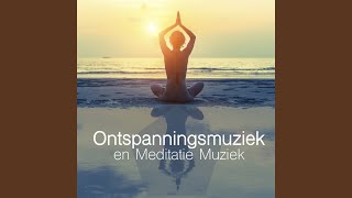 Oosterse Muziek voor Diepe Meditatie [upl. by Gowon273]