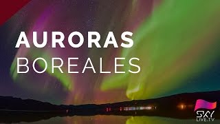 Auroras boreales desde Groenlandia 2016  En directo conexión 3 [upl. by Eimma]