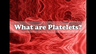 Human Body  What are Platelets and How they work [upl. by Jeff177]