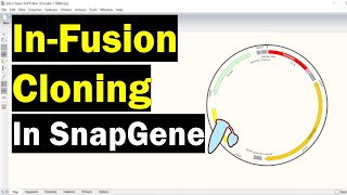 Simulating InFusion Cloning In SnapGene [upl. by Armil]