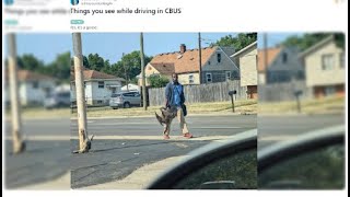 New details uncovered about viral goose photo as Springfield’s immigration surges  WHIOTV [upl. by Clifford]