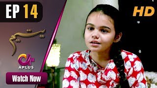 Yateem  EP 14  Aplus Sana Fakhar Noman Masood Maira Khan  Pakistani Drama  C2V1 [upl. by Avalsorim]