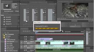 Как выводить готовый проект из Adobe Premiere Pro CS55 [upl. by Kerstin]