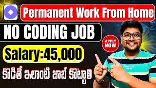 Permanent Work from Home jobs  No coding Salary 45k Virtual InterviewLatest Jobs in Telugu 2024 [upl. by Asaeret]